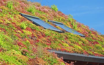 Cathpair living roof systems